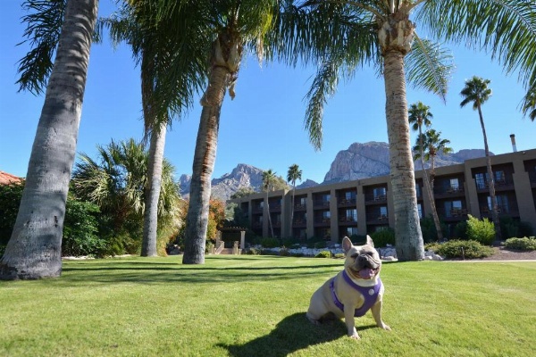 El Conquistador Tucson, A Hilton Resort image 8