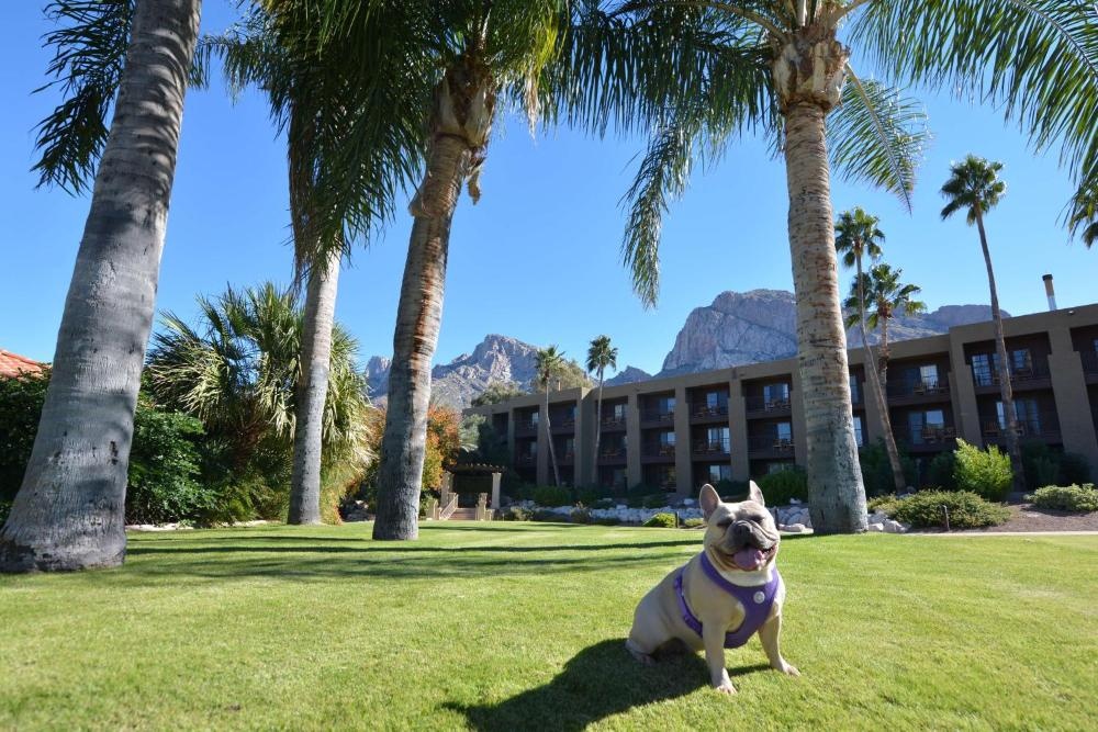 El Conquistador Tucson, A Hilton Resort